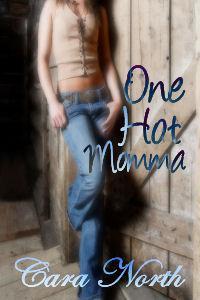 Country Music / Montana Cowboys book cover 3