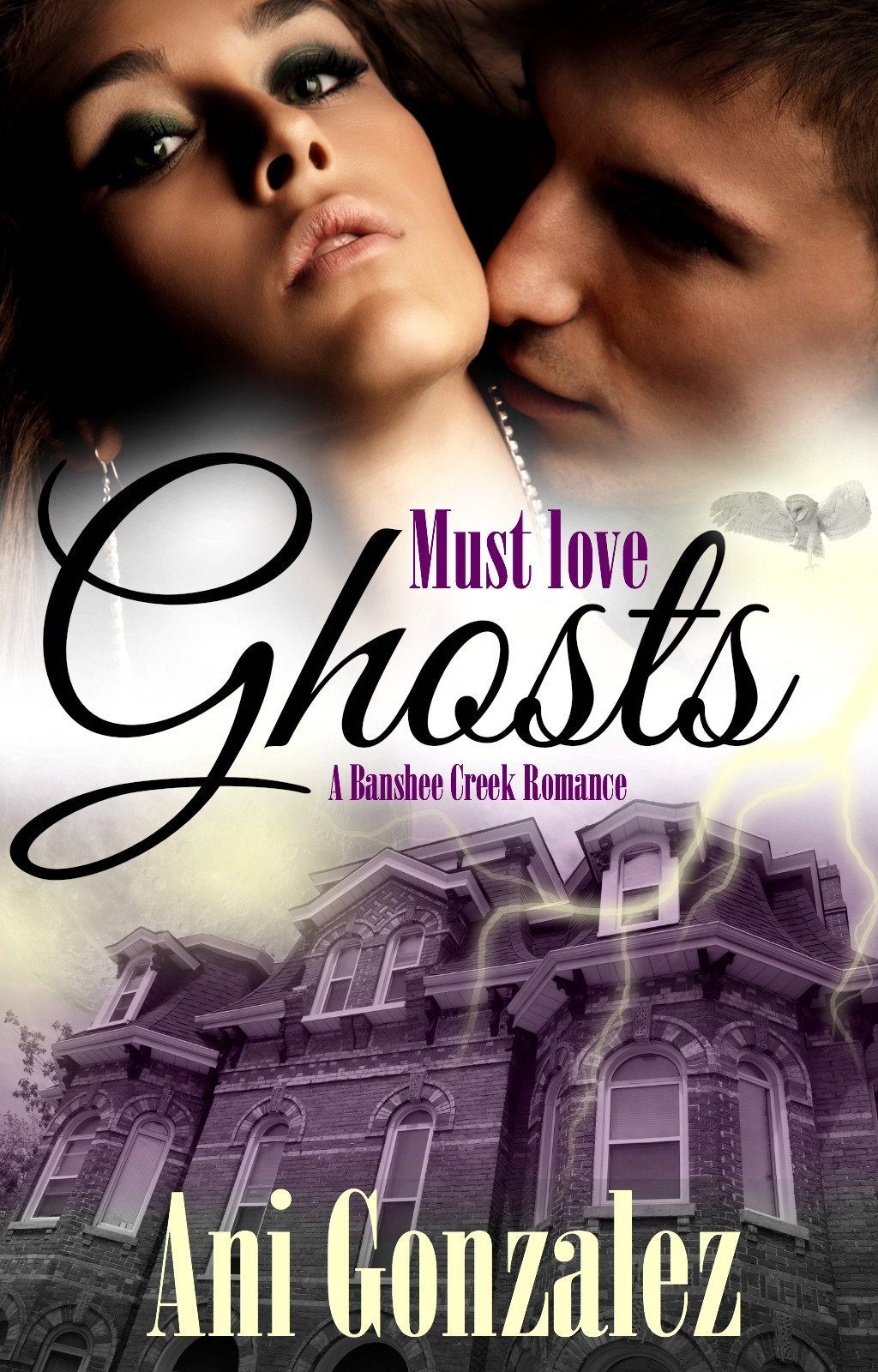 Banshee Creek book cover 1