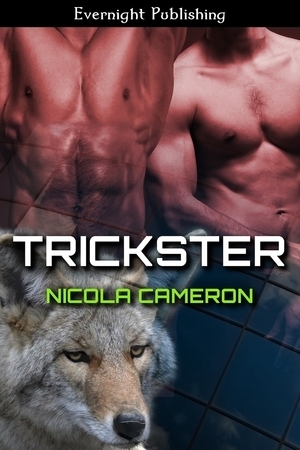 Trickster book cover