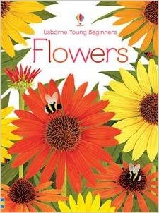 Young Beginners Flowers book cover