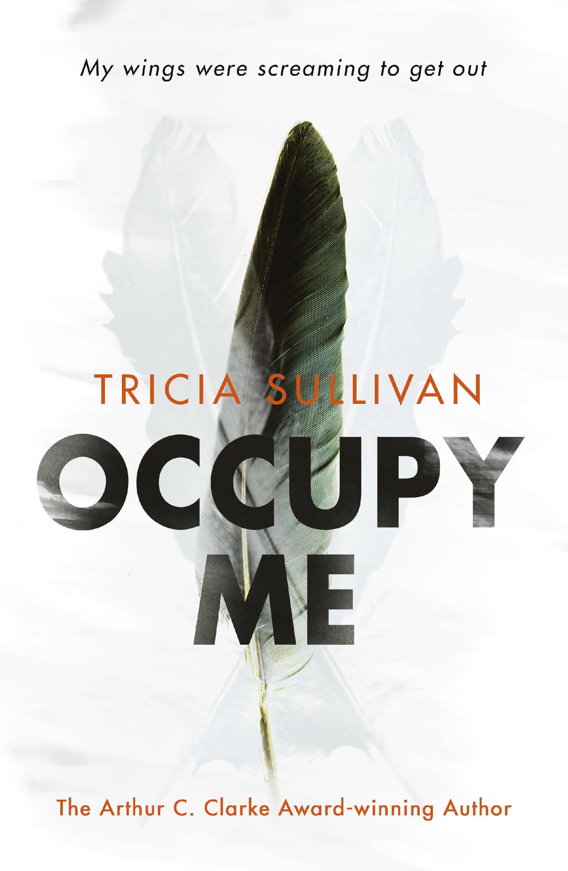 Occupy Me book cover