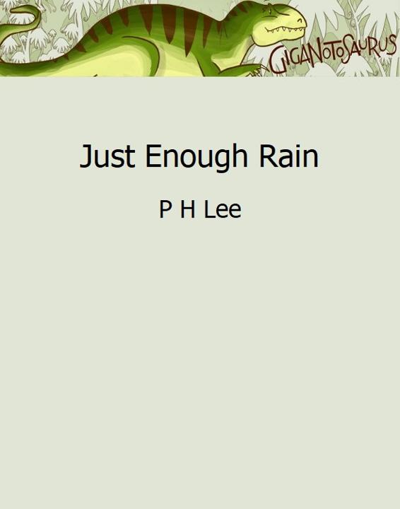 Just Enough Rain book cover
