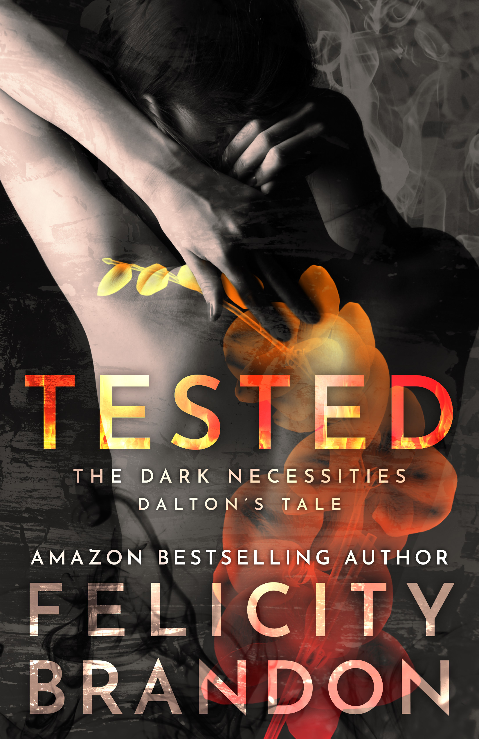 The Dark Necessities: Dalton's Tale book cover 3