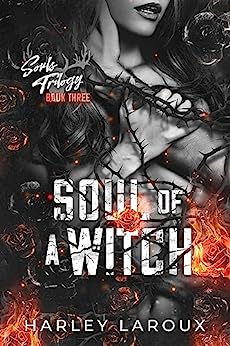 Souls Trilogy book cover 3