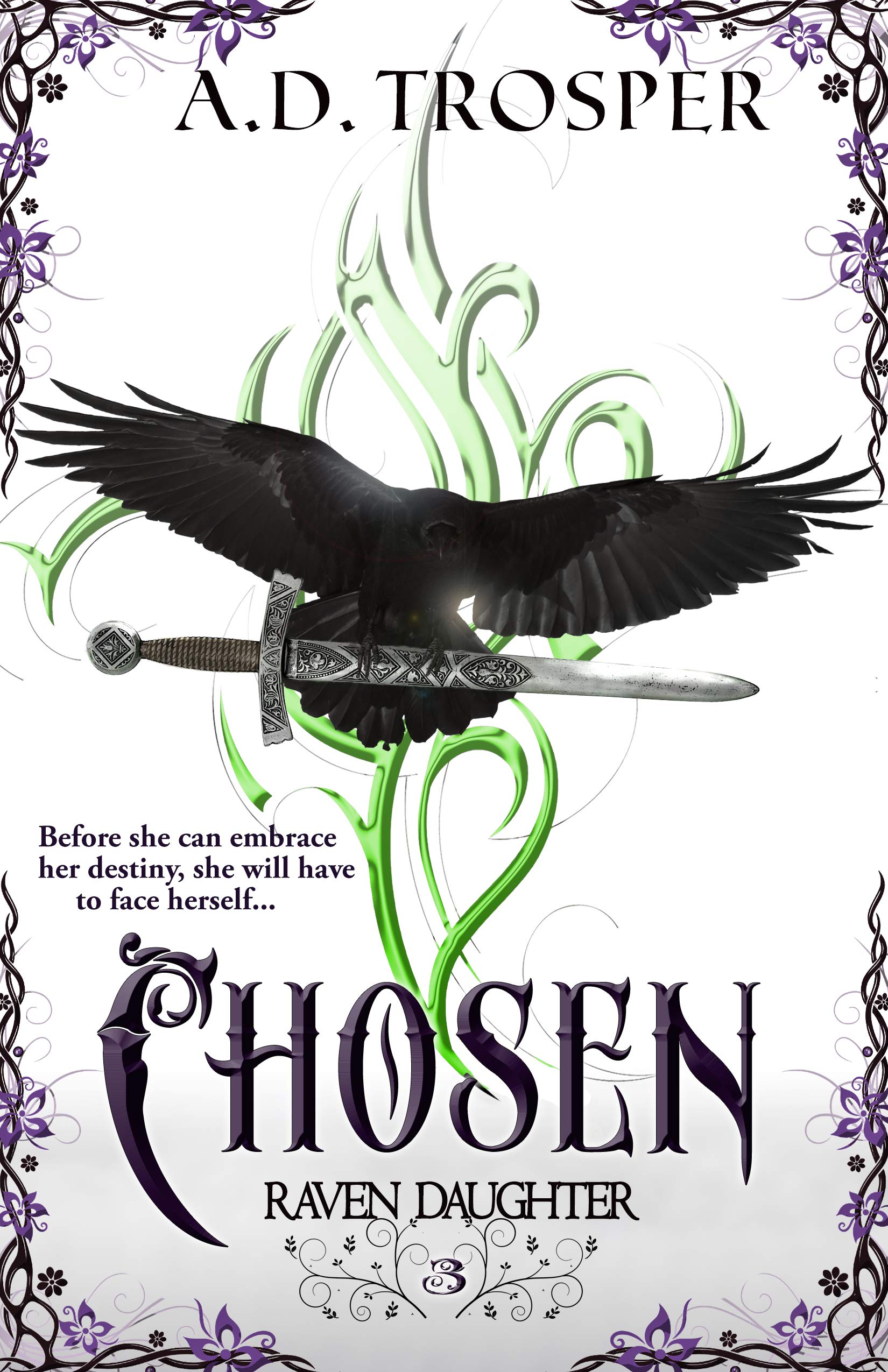 Raven Daughter book cover 3