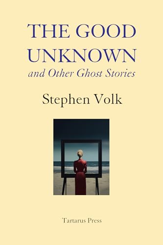 The Good Unknown book cover