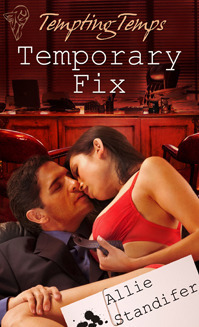 Temporary Fix book cover