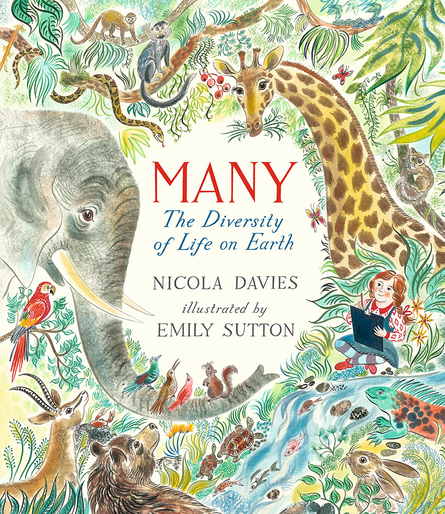 Many book cover