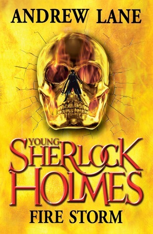 Fire Storm book cover