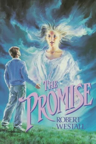 The Promise book cover