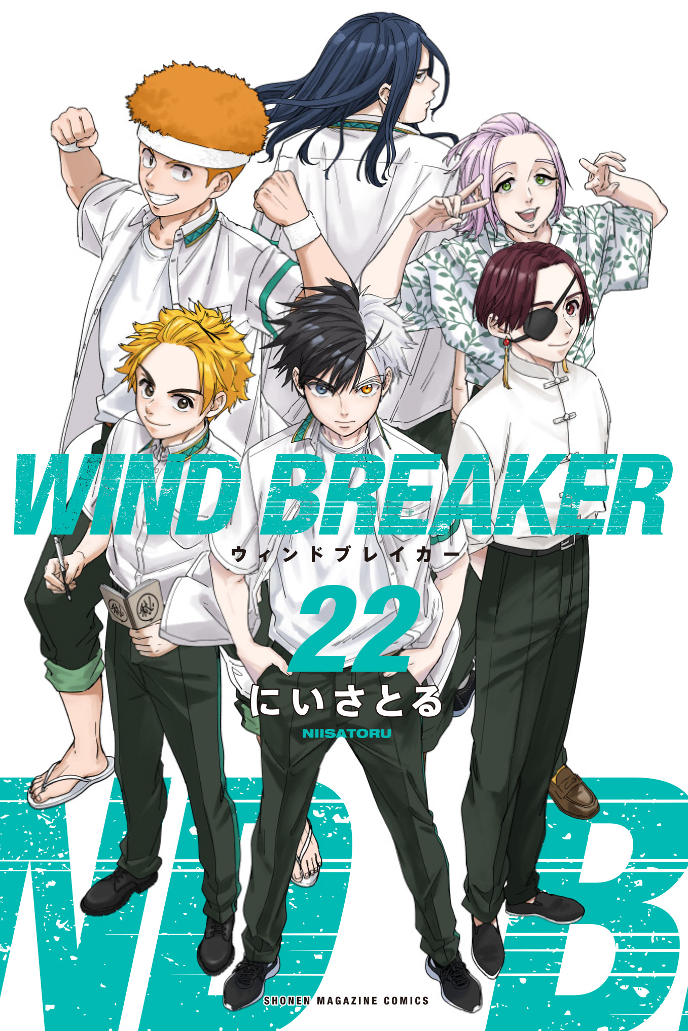 WIND BREAKER, Vol. 22 book cover