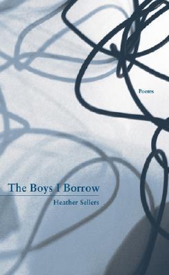 The Boys I Borrow book cover