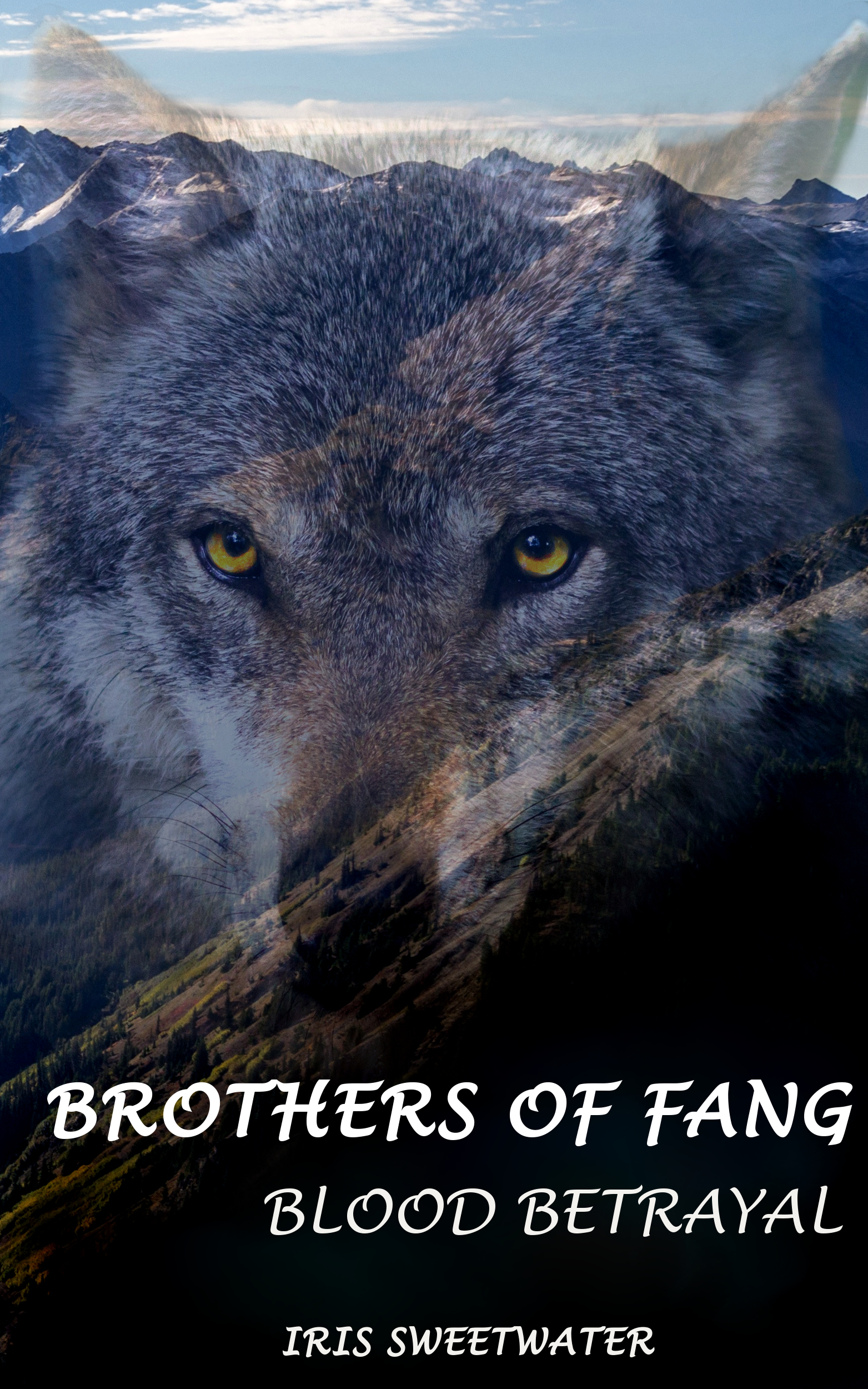 Brothers of Fang book cover