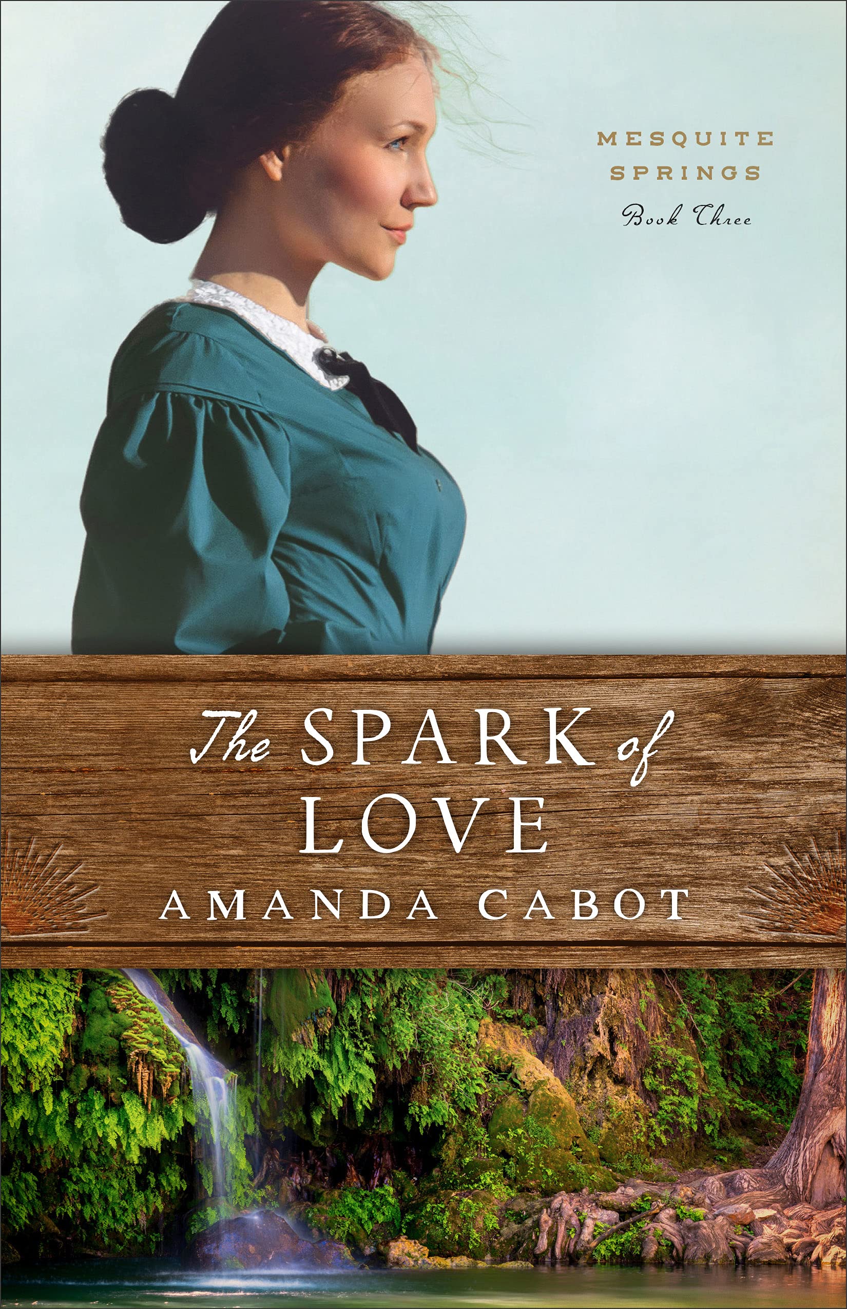 Mesquite Springs book cover 3