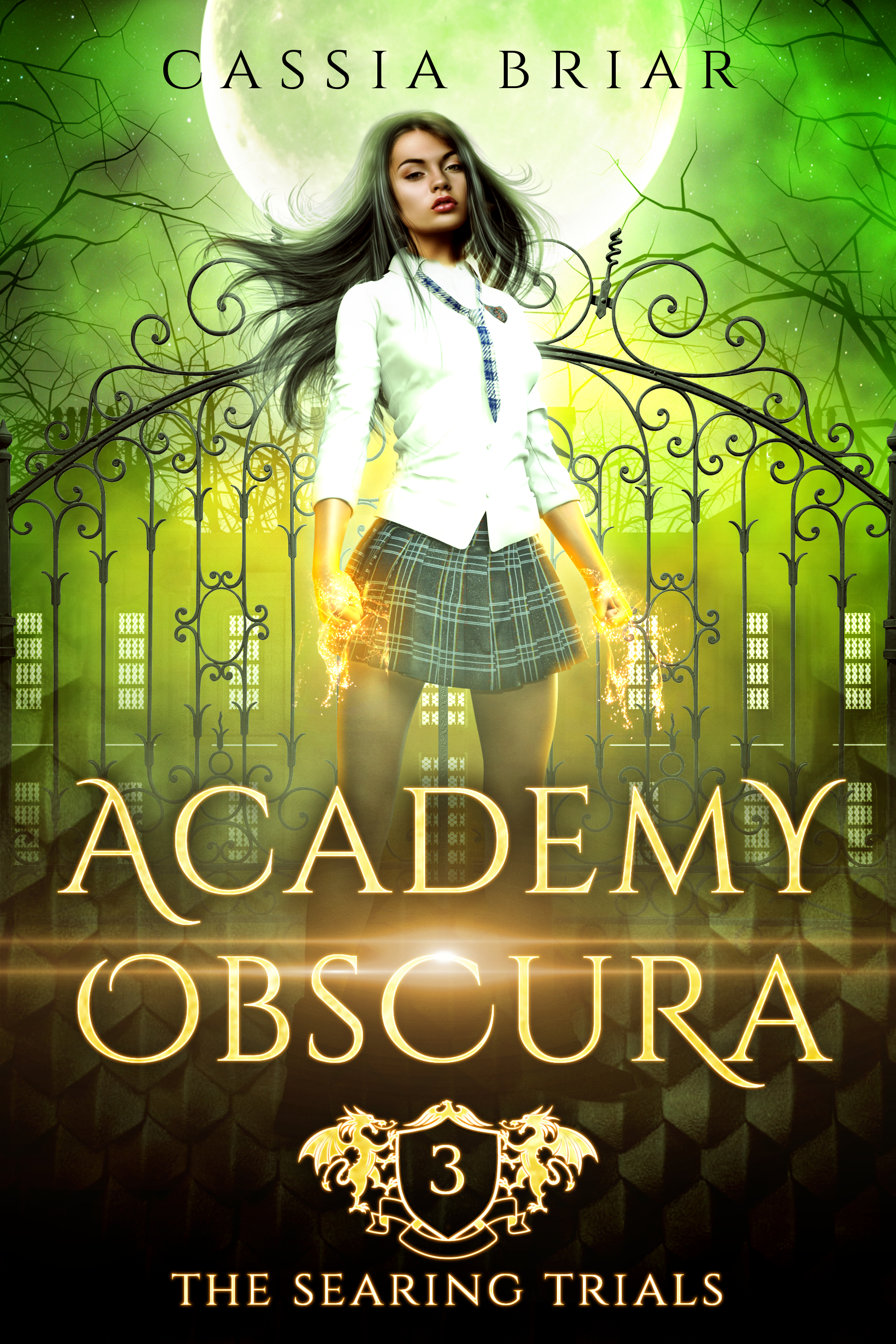 Academy Obscura book cover