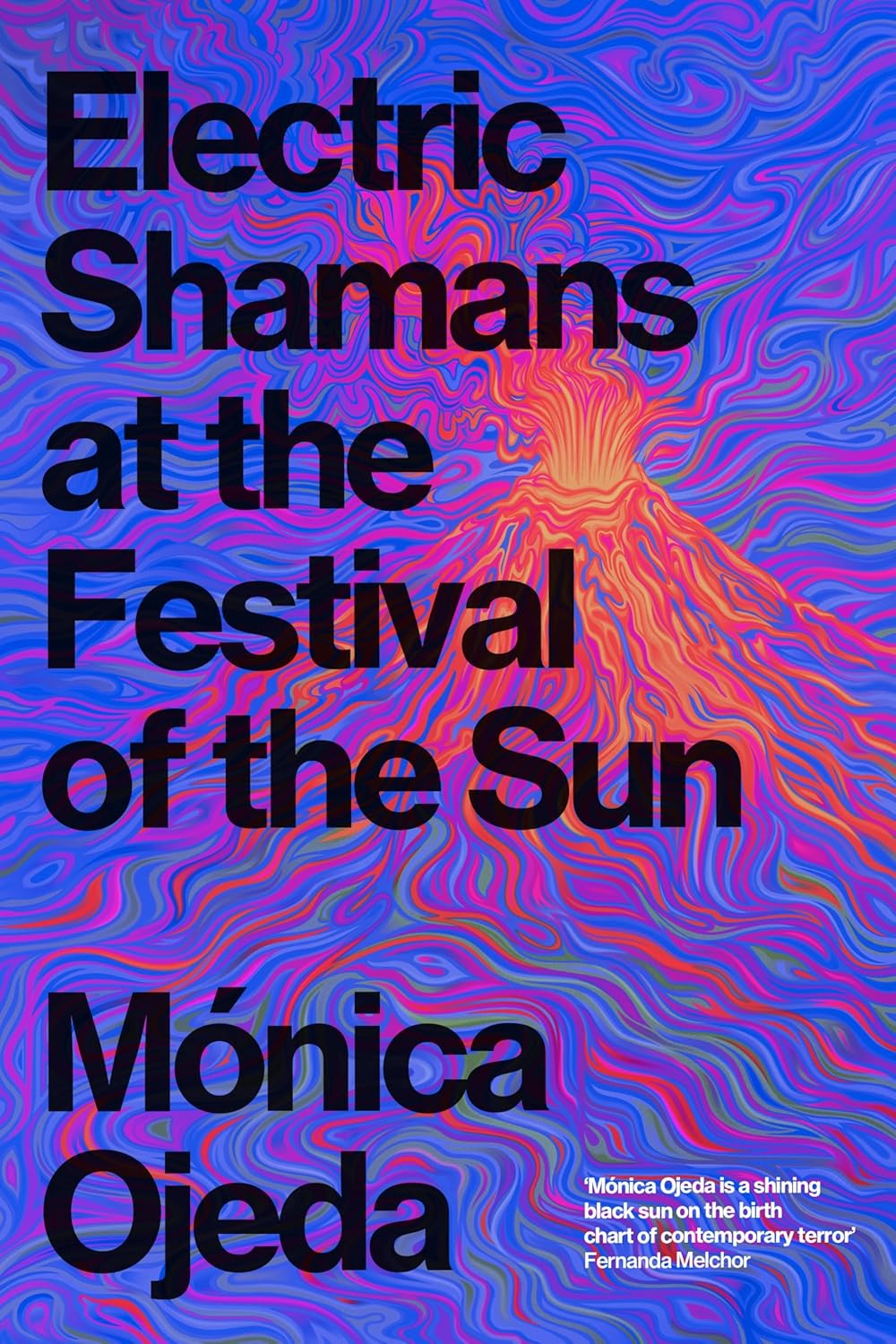 Electric Shamans at the Festival of the Sun book cover