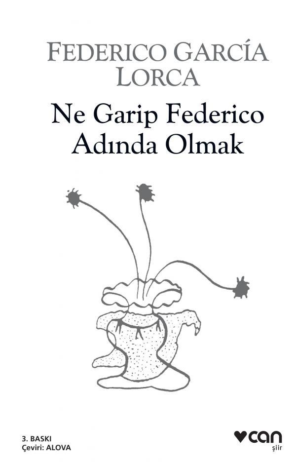Ne Garip Federico Adında Olmak book cover