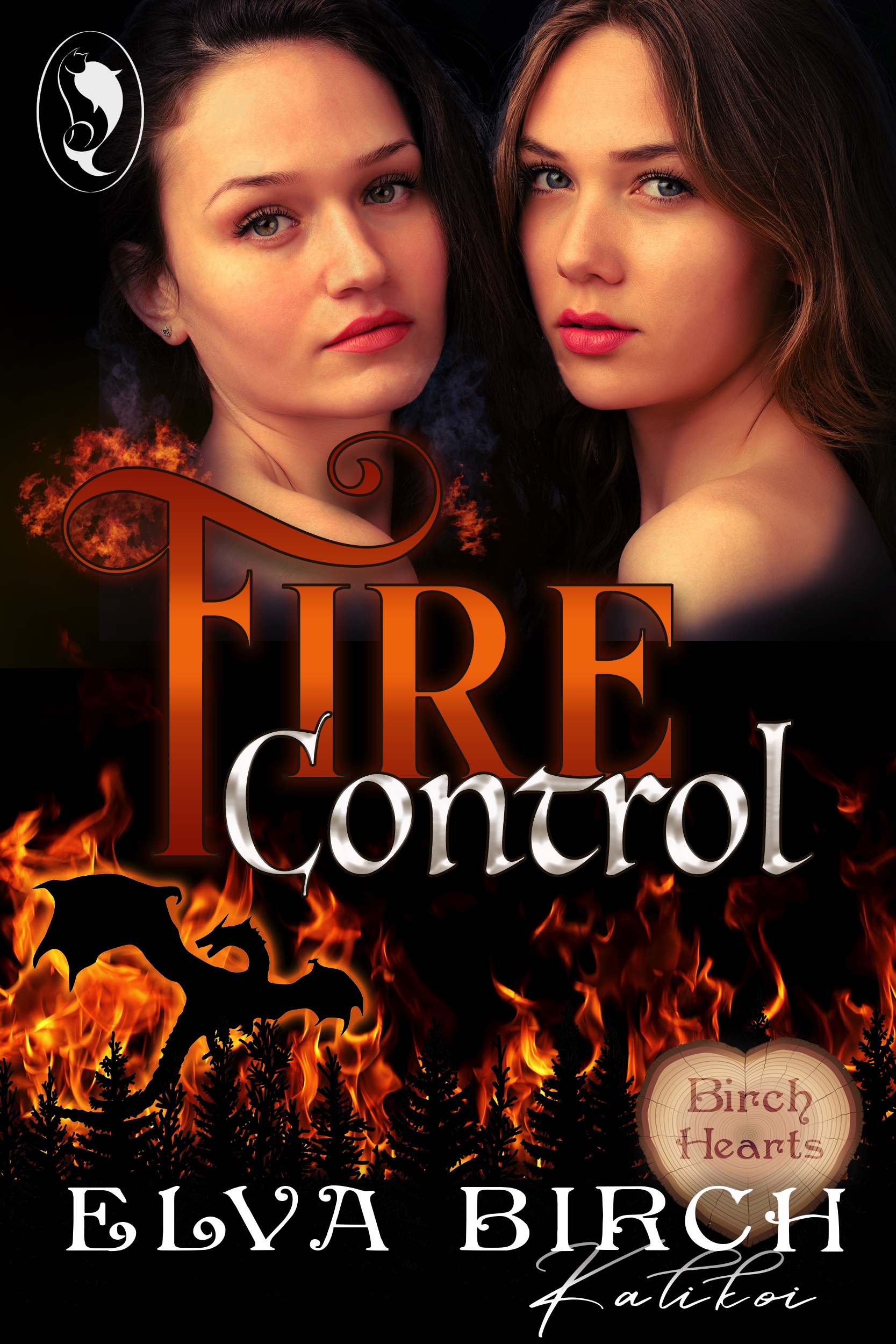 Fire Control book cover
