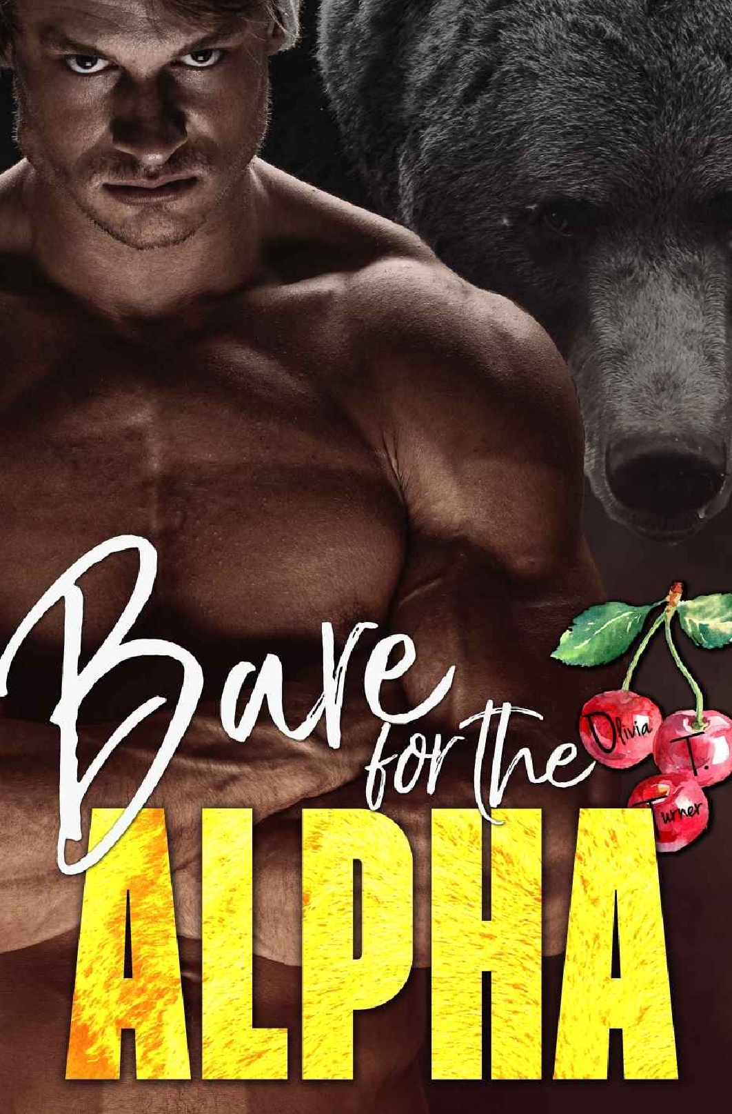 Ridge Brothers Bear Shifters book cover 1