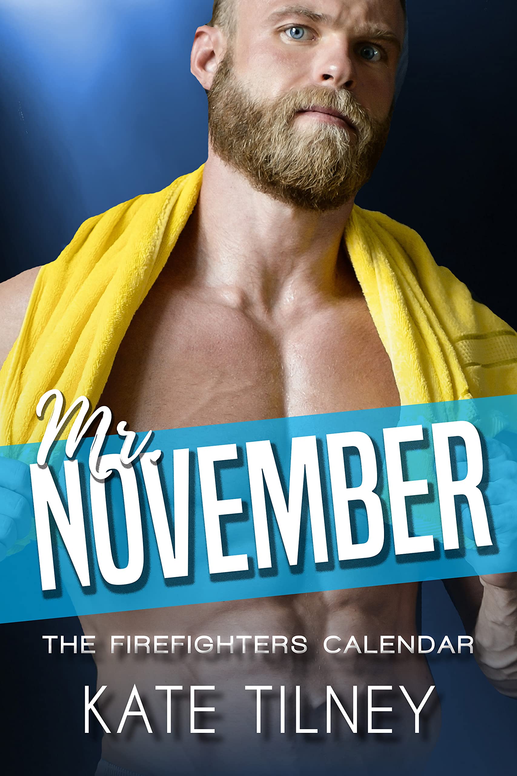 Mr. November book cover
