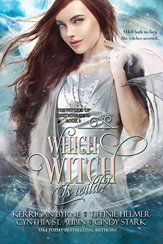 The Witches of Port Townsend book cover 3