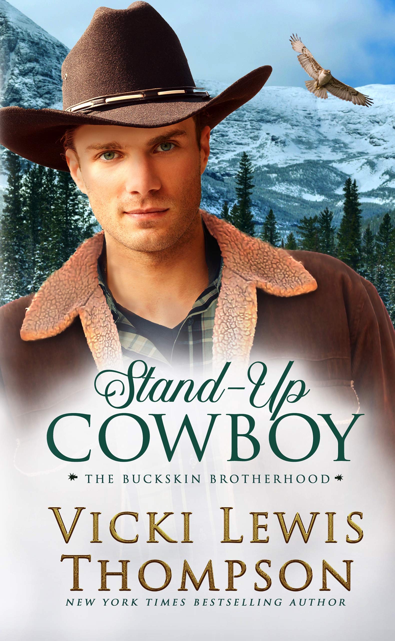 Stand-Up Cowboy book cover
