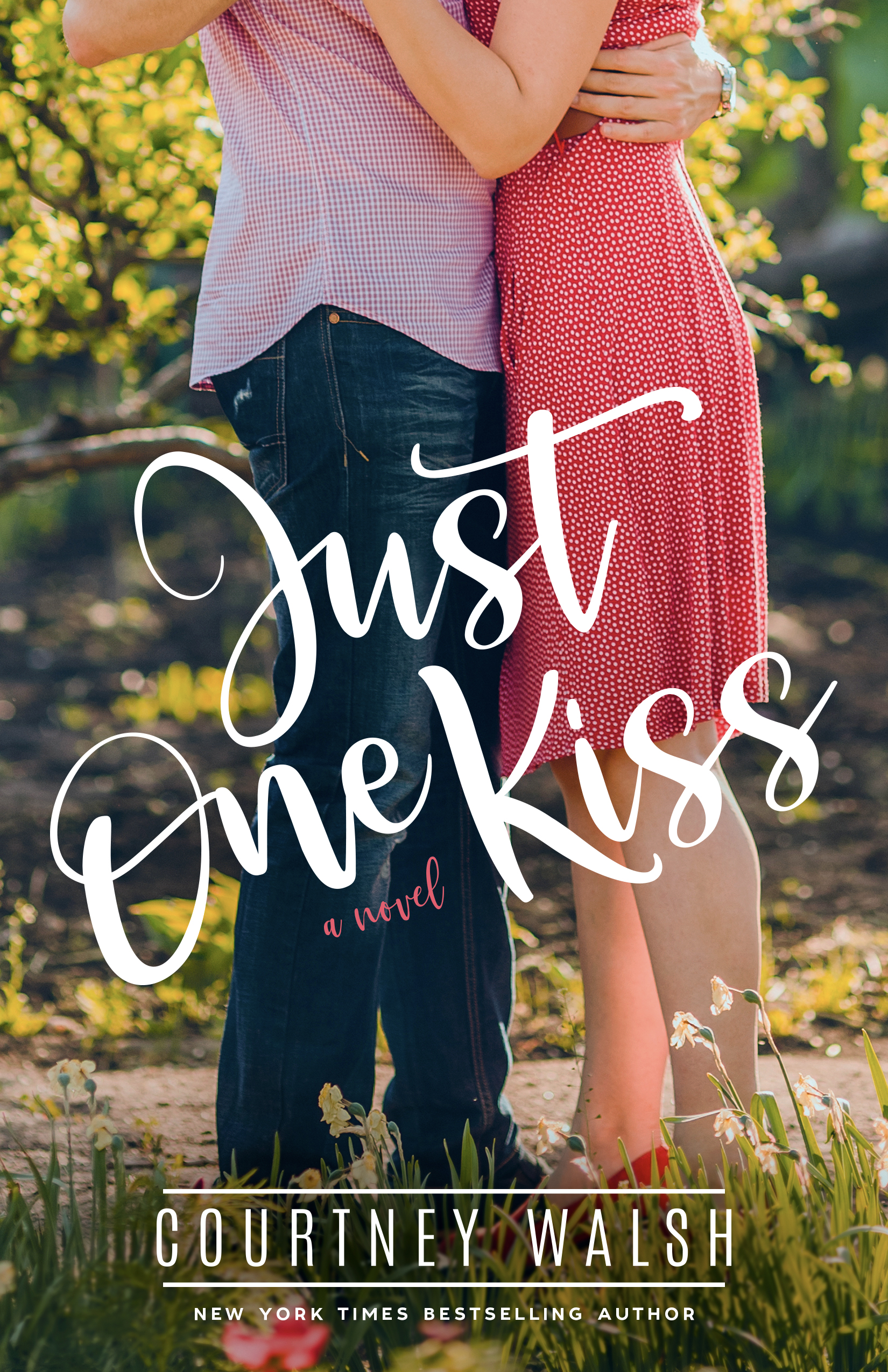 Harbor Pointe book cover 3