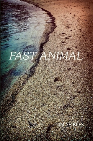 Fast Animal book cover