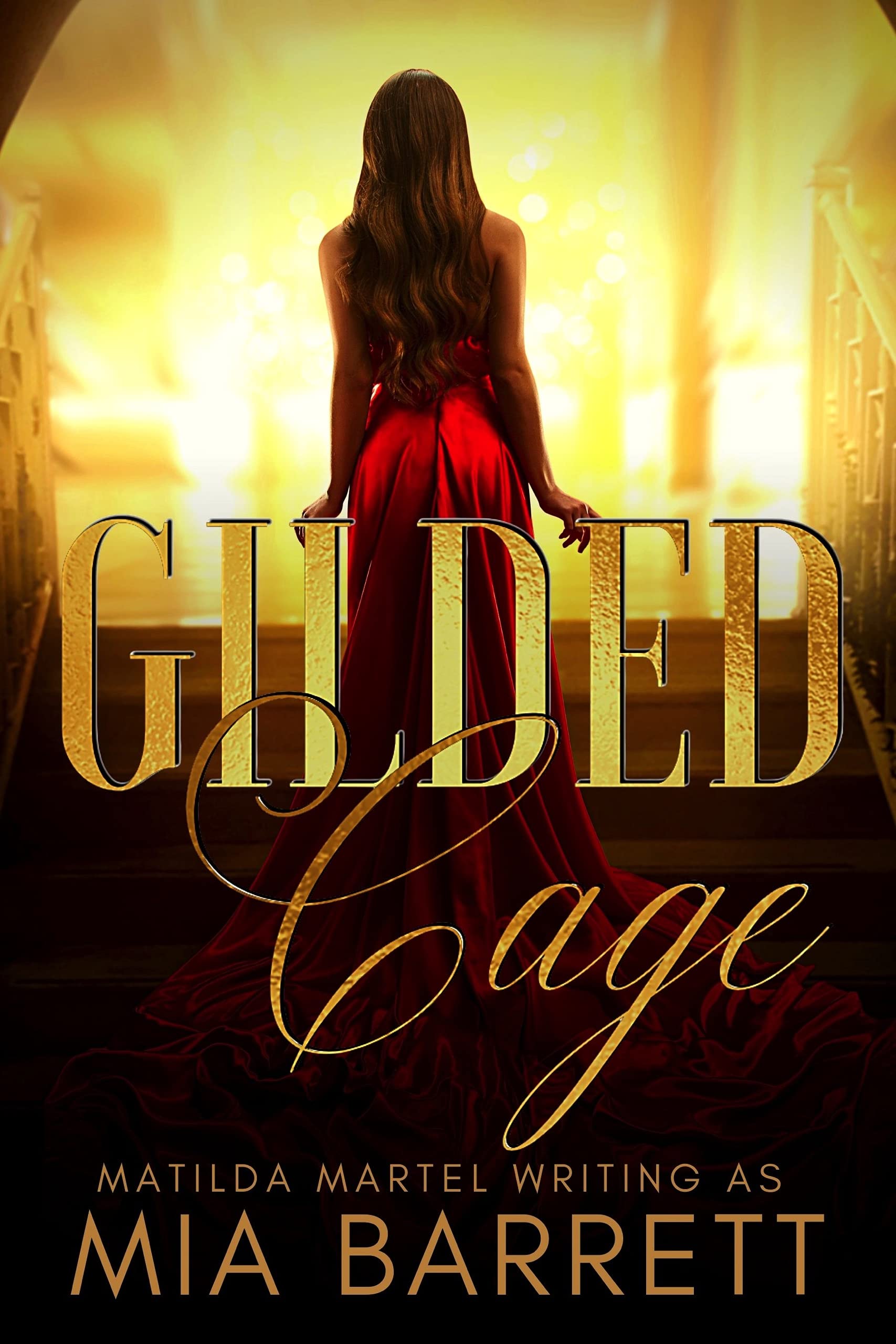 The Silver Foxes book cover 1