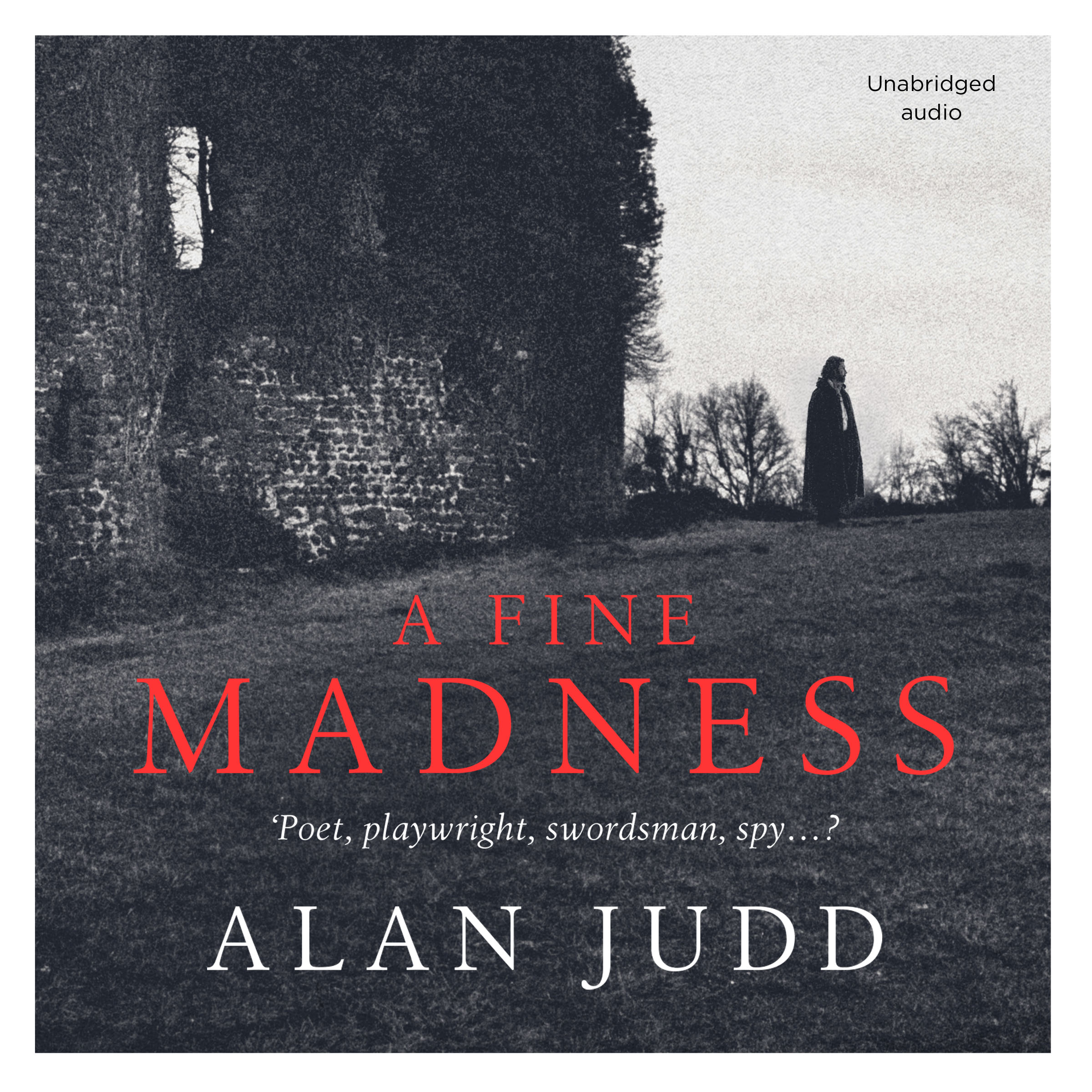 A Fine Madness book cover