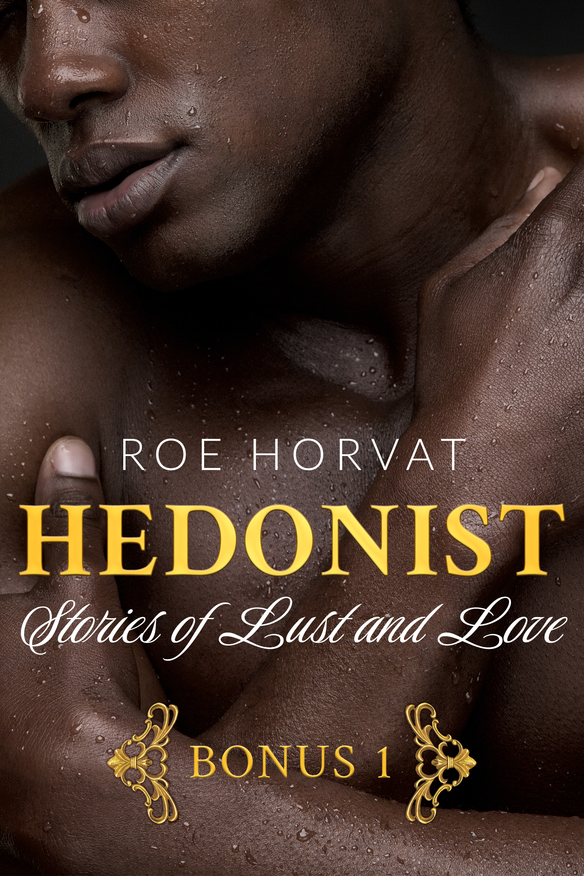 Hedonist book cover 3