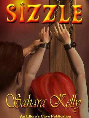 Sizzle book cover