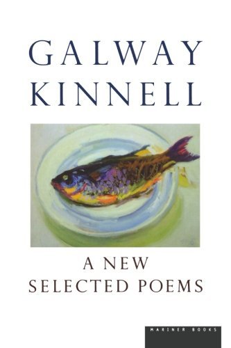 A New Selected Poems book cover