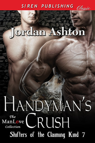 Handyman's Crush book cover