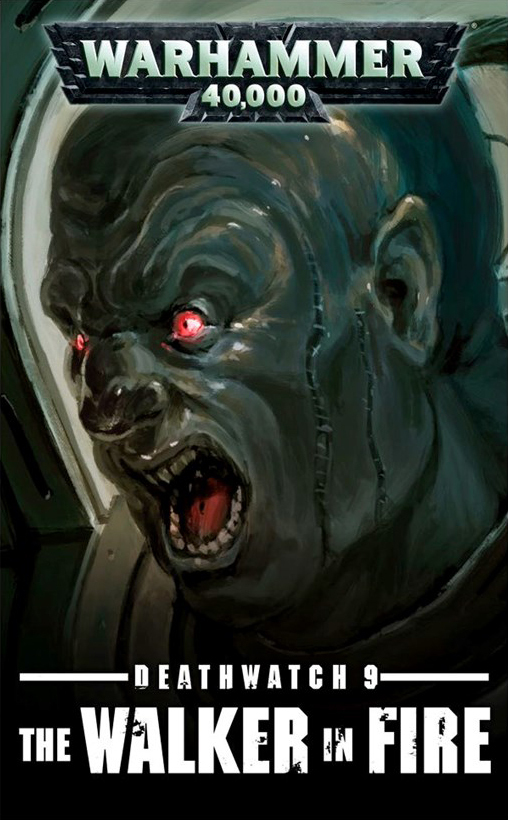 The Walker in Fire book cover