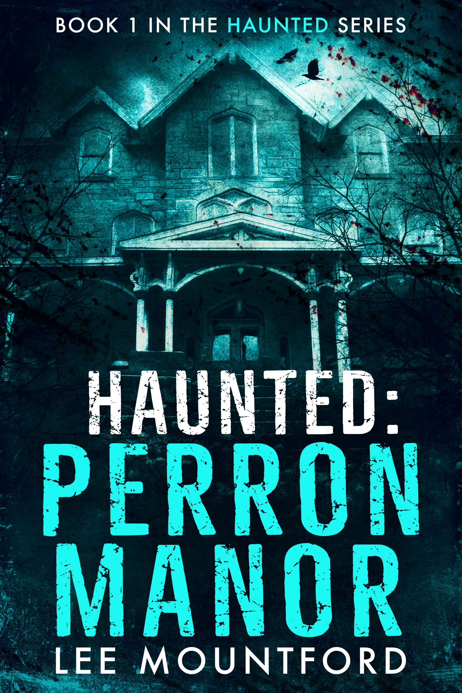 Haunted book cover 1