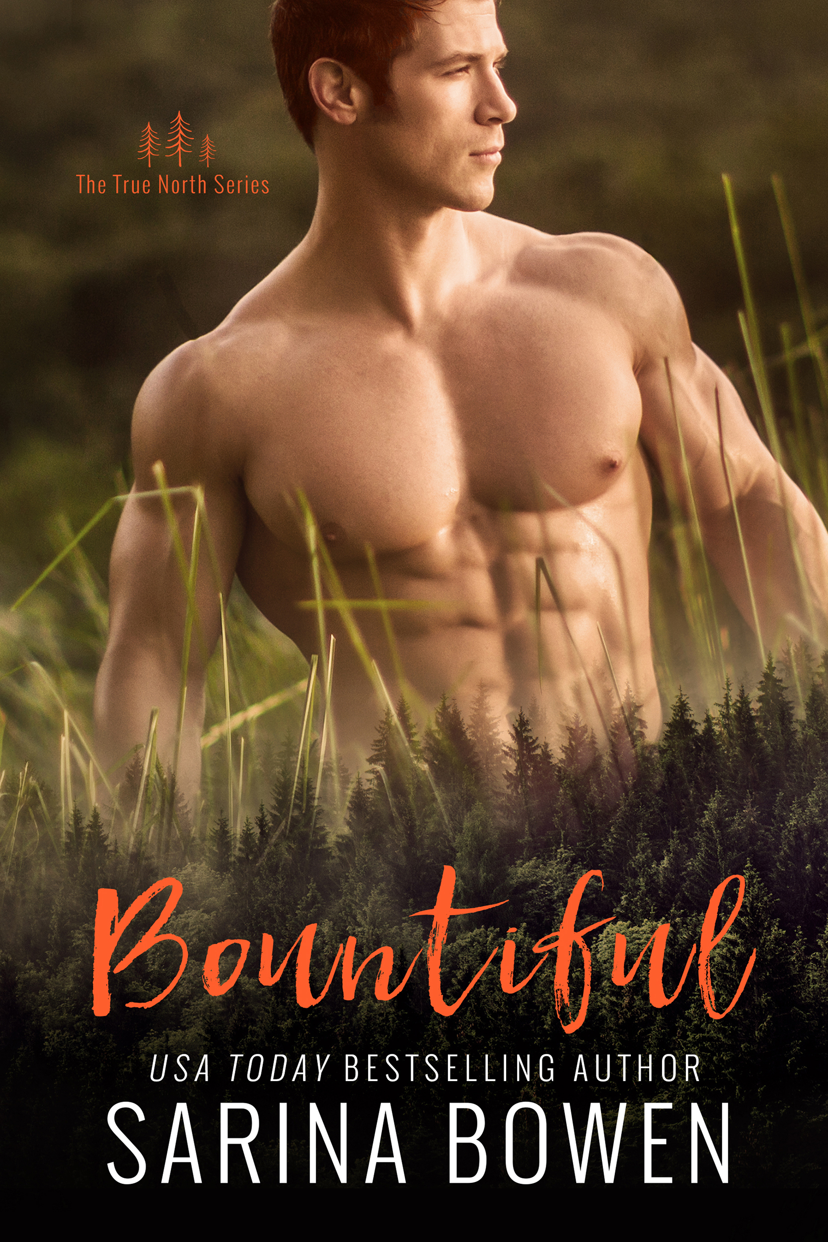 Bountiful book cover