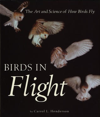 Birds in Flight book cover