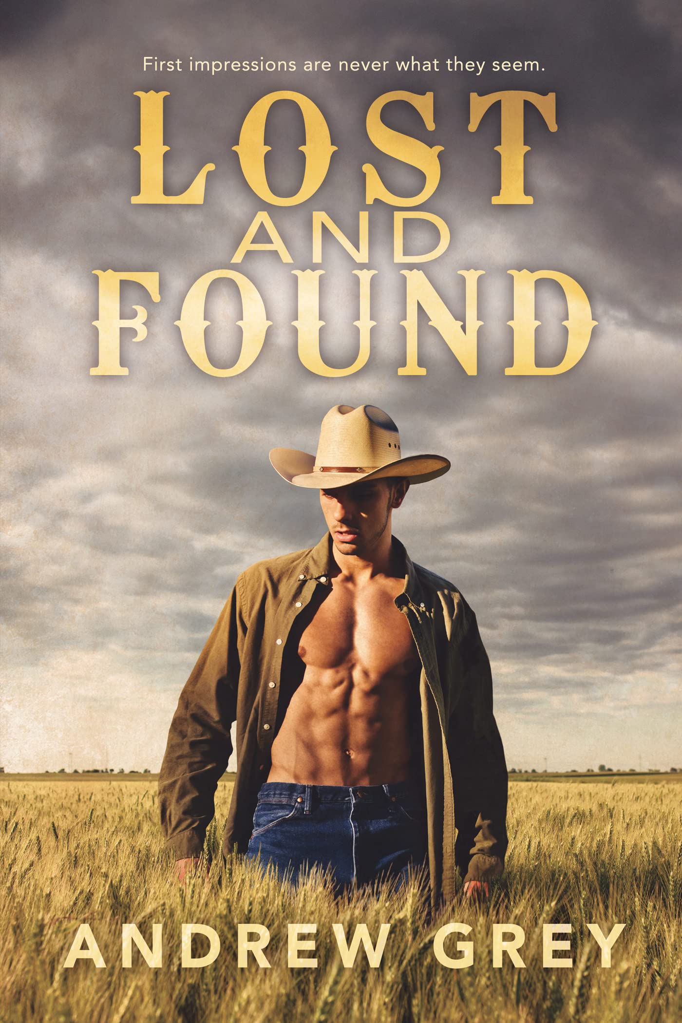 Lost and Found book cover