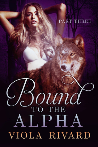 Bound book cover 3