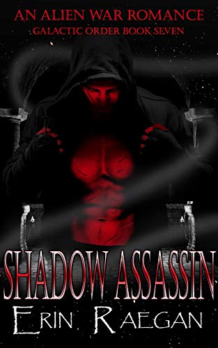 Shadow Assassin book cover