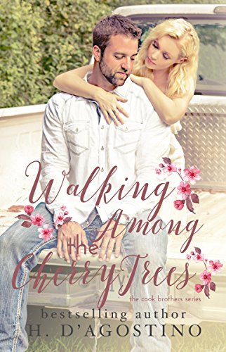 Cook Brothers book cover 1
