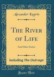 The Outrage book cover