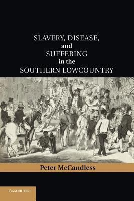 Cambridge Studies on the American South book cover 1