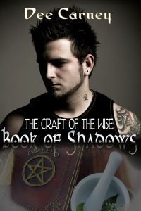 Craft of the Wise book cover 1