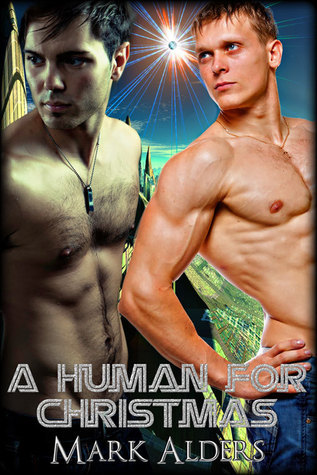 A Human for Christmas book cover