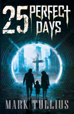25 Perfect Days book cover