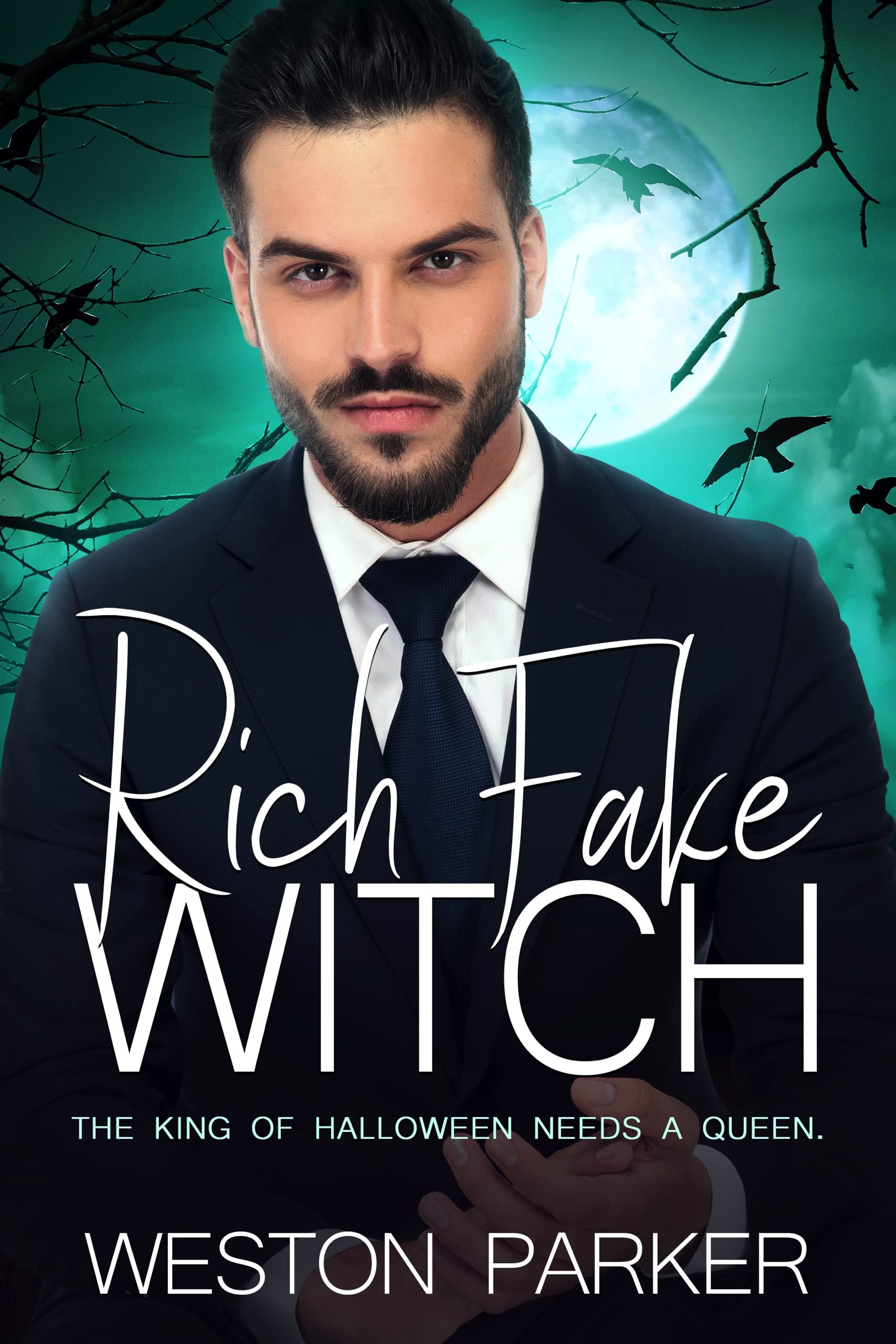 Rich Fake Witch book cover