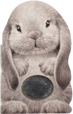 Furry Bunny book cover
