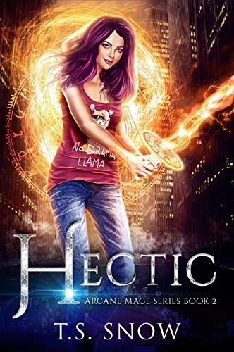 Arcane Mage book cover 2